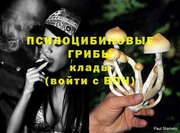 МДМА Беломорск
